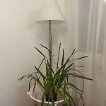 Apartment Minerva