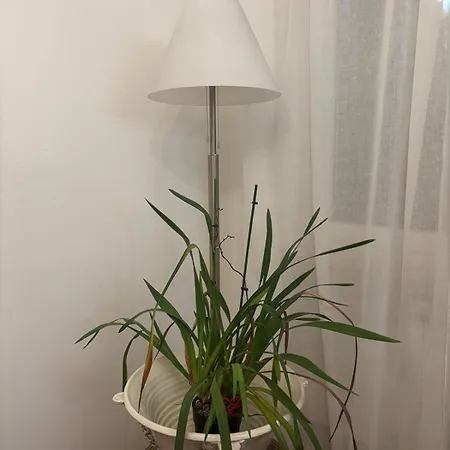 Апартаменты Minerva